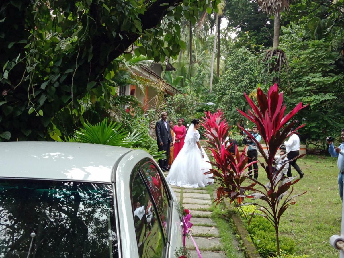 Country Side Inn Portuguese Guest House Cuelim Luaran gambar